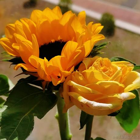 刘笑祎于2023-04-22 21:30发布的图片