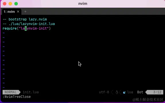 070-nvim-tree-install-result