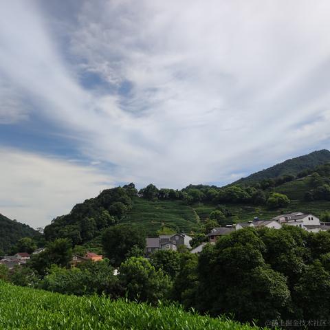 可乐真好吃于2021-07-27 08:51发布的图片