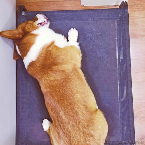 牛肉烧板黎于2022-06-30 09:36发布的图片