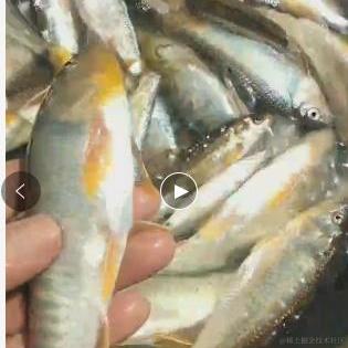 已注销于2022-04-24 02:15发布的图片