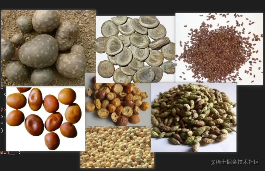 25 岁以上的程序员，认识不了几个中药材的。Python 爬虫小课 9-9