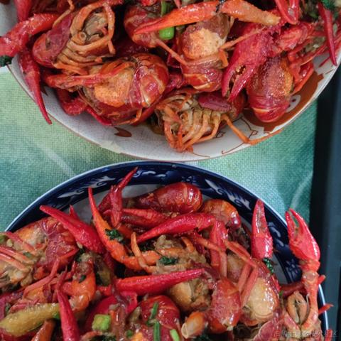 文不着调于2021-05-23 19:35发布的图片