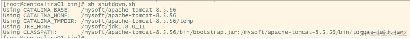 image-20220619134141566