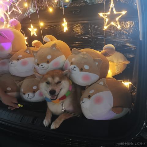 花果山大圣于2020-07-31 20:09发布的图片