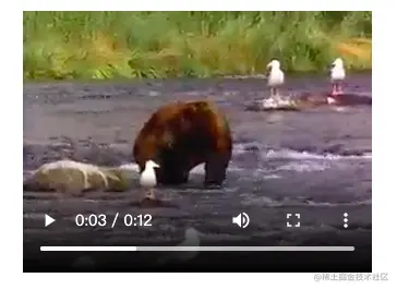 image-20220207215114260