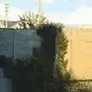 半修缘于2023-09-14 15:39发布的图片