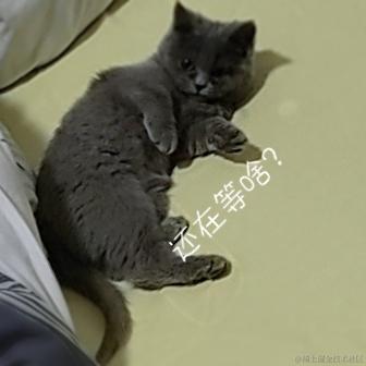 漾雾于2023-05-12 16:43发布的图片