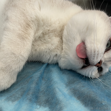 喵怼怼于2023-05-16 09:43发布的图片