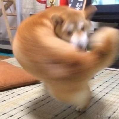 葳蕤繁祉于2022-12-25 19:01发布的图片