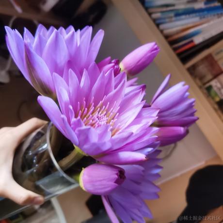 tip321789于2022-11-27 20:54发布的图片