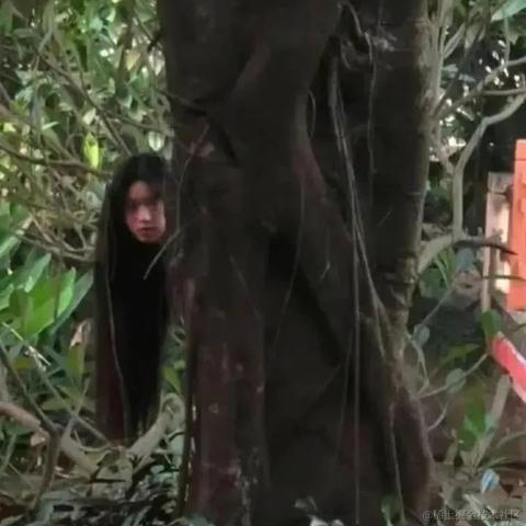 无人问我粥可温于2022-07-23 09:45发布的图片