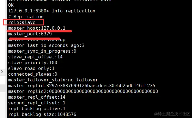 image-20211205172220701