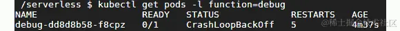 图 7.58：列出 debug 函数 pods