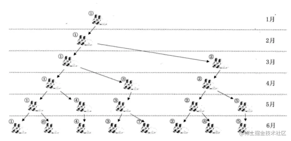 image-20211113163225826