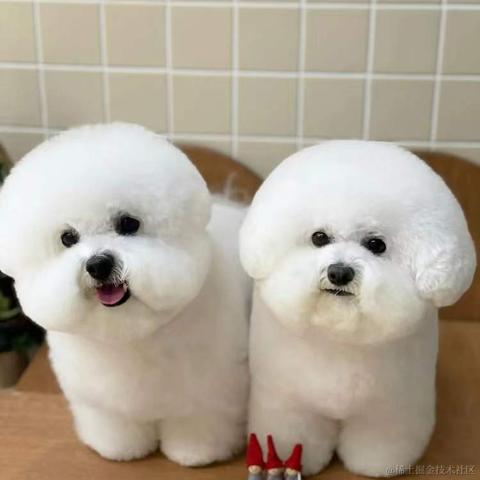 BooBoo于2021-12-26 17:26发布的图片