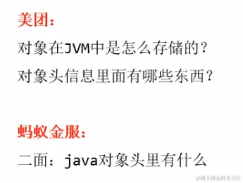 image-20221220010456019