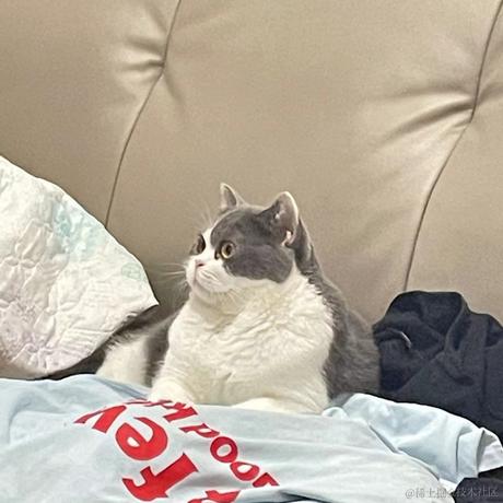 不能没有番茄酱于2023-08-21 22:38发布的图片