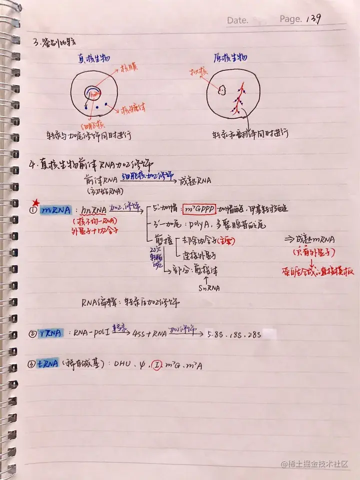 生化手写笔记.pdf