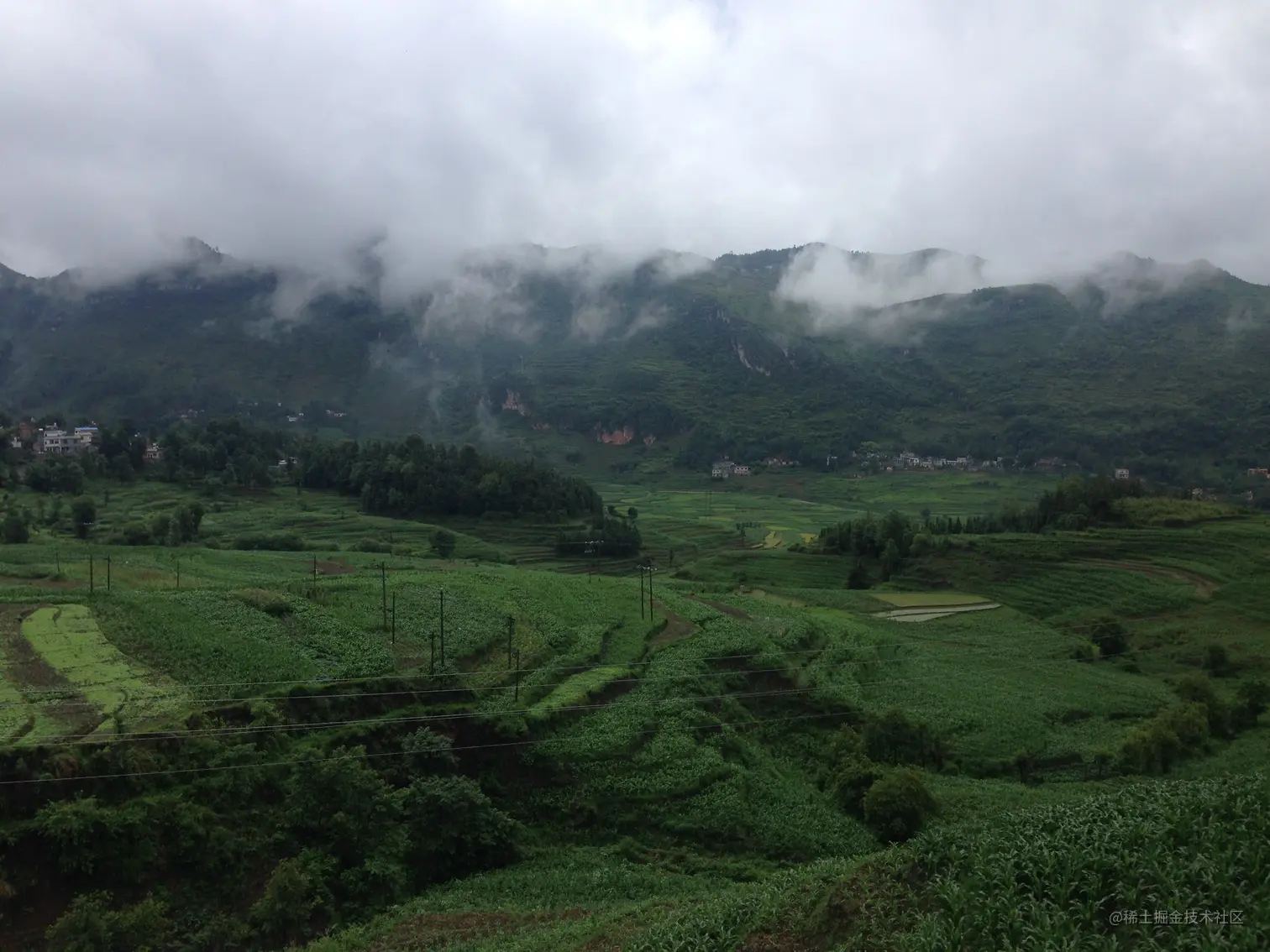 我的转行之路（Java开发从入门到放弃）之三：抉择与反思