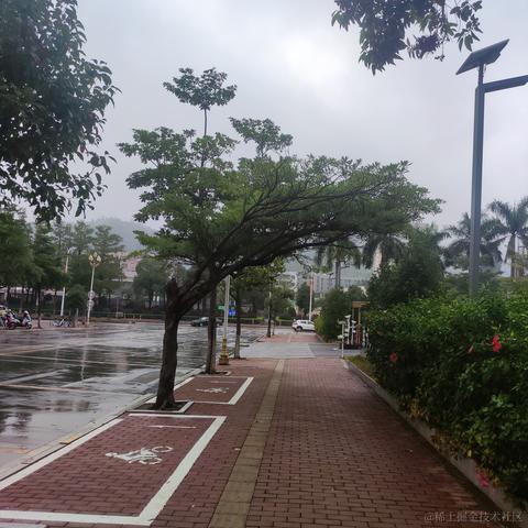 猫雷最强于2022-11-23 14:34发布的图片