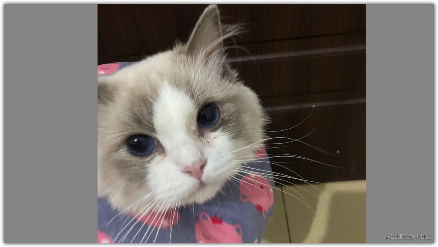 image-20210815172849342