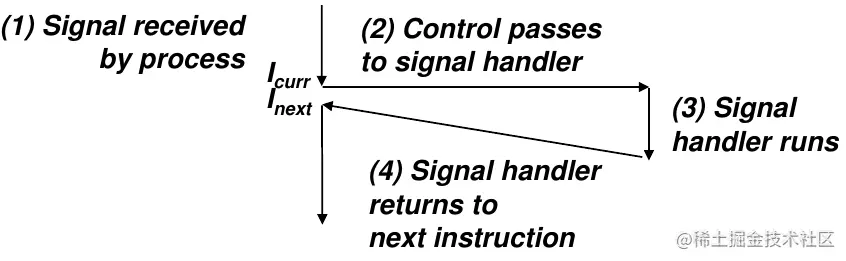 image-20220119140511533