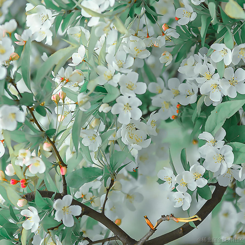 码界西柚于2024-01-29 13:16发布的图片