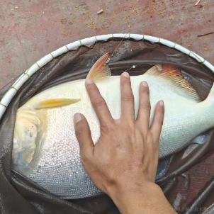 土豆泥丶于2023-10-27 11:37发布的图片