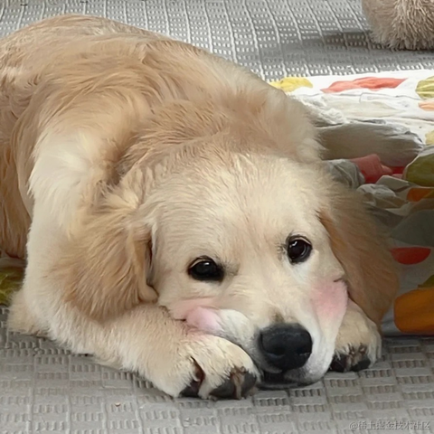 respect_lz_haha于2021-12-09 10:41发布的图片