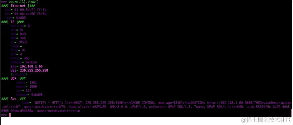 使用 Scapy 进行数据包嗅探