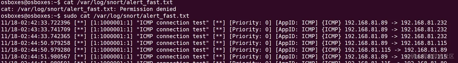 image-20211118104548735