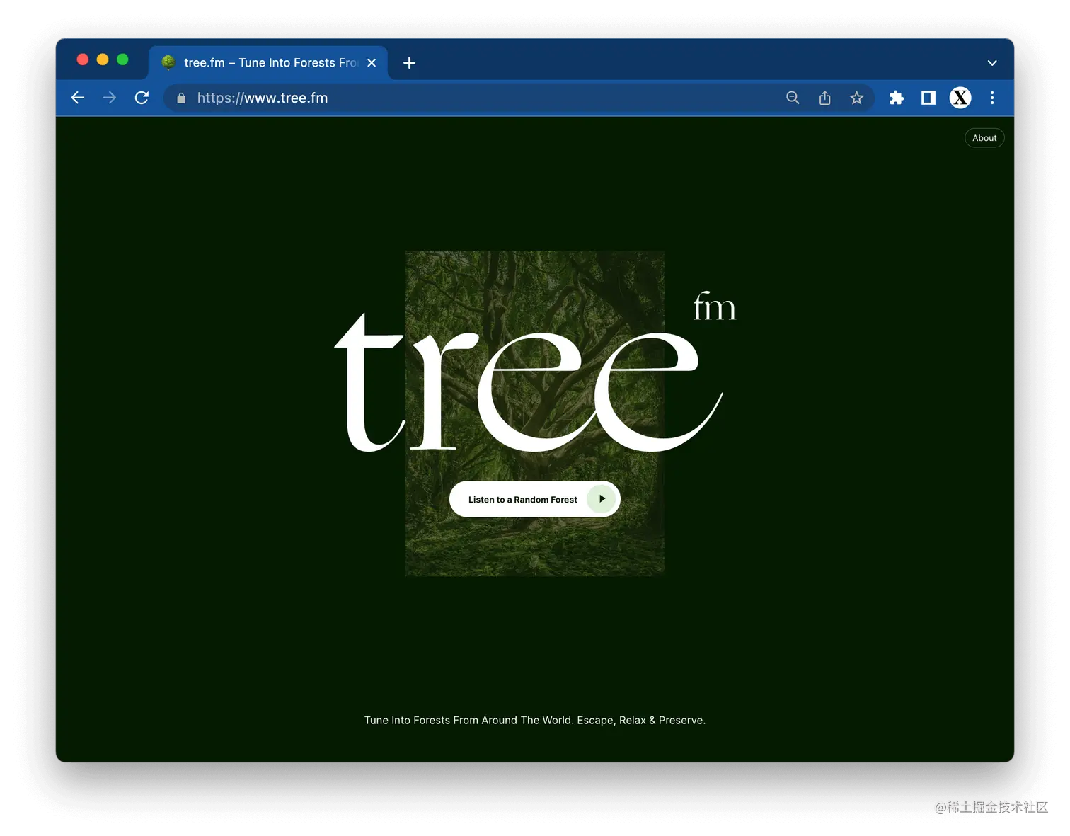 tree.fm – Tune Into Forests From Around The World 🌳🔈