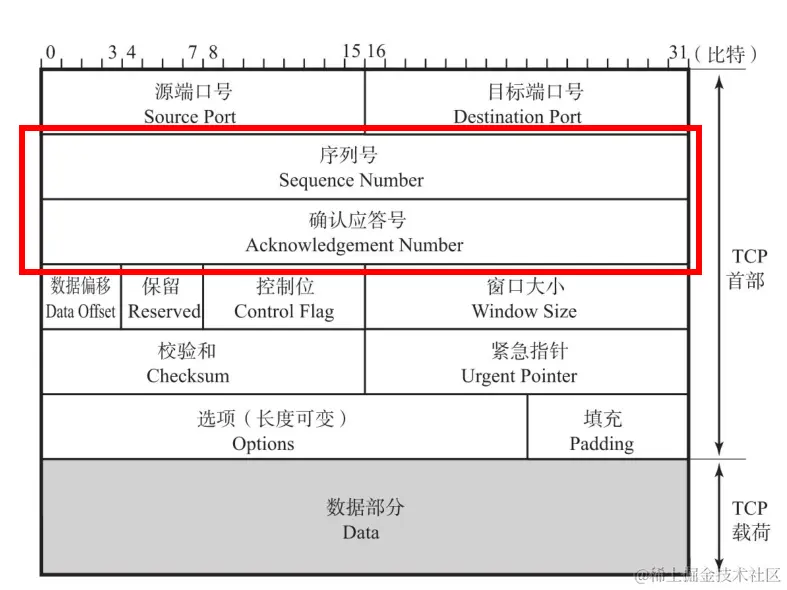 序号与确认序号