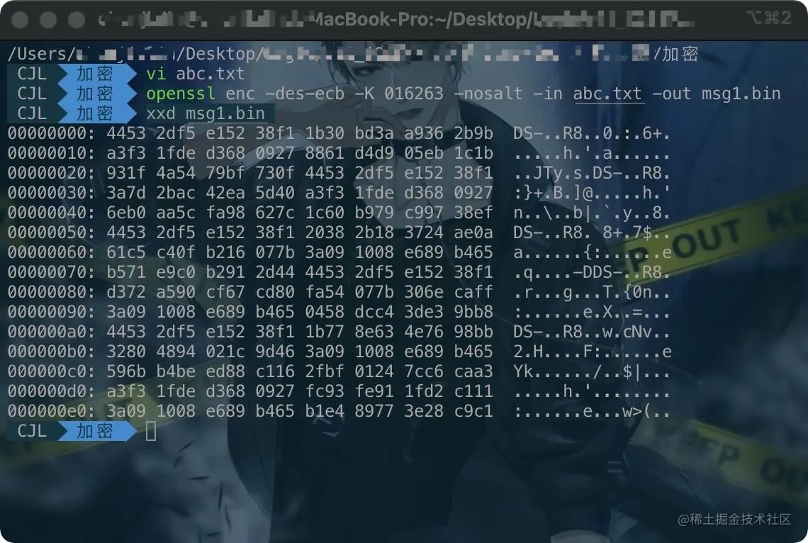 AES + ECB代码演示