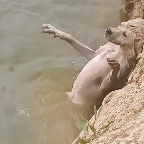 更高高兴更加开心于2022-11-29 12:22发布的图片