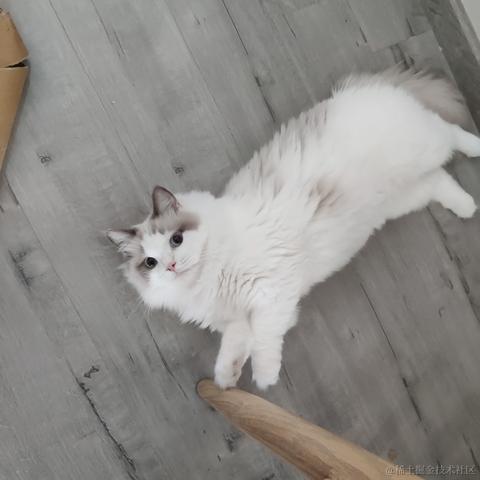 拉腰子于2021-10-27 19:04发布的图片