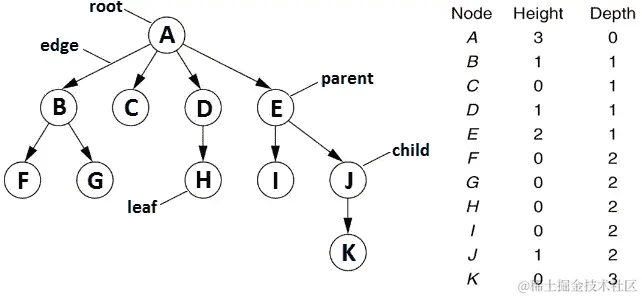 图 13.1 – 树术语