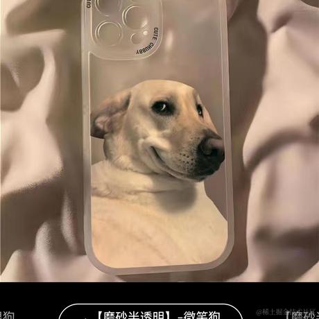 张鱼哥z于2022-10-04 23:59发布的图片