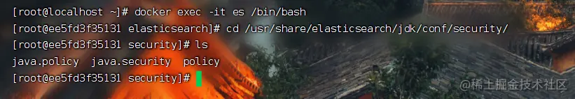 image-20230618101229748