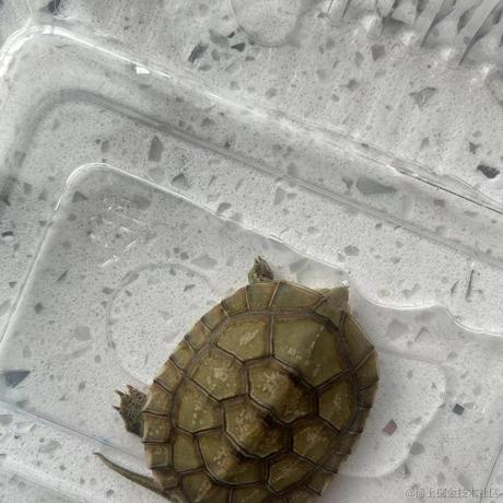 阿_J于2024-05-20 11:10发布的图片