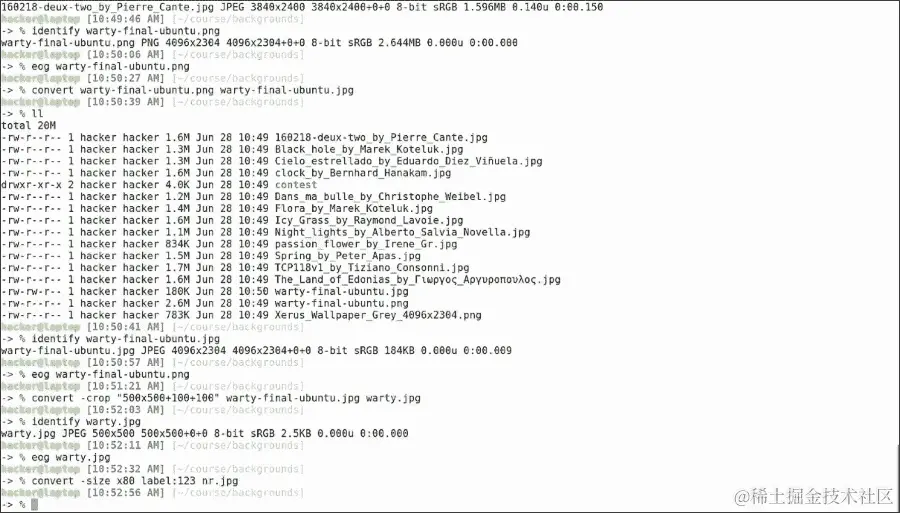 缩小咒语和其他 ImageMagick