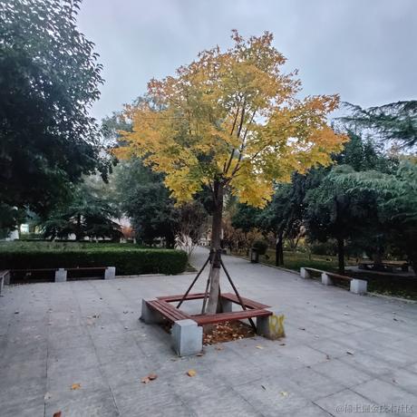 AvavaAva于2022-11-18 10:11发布的图片