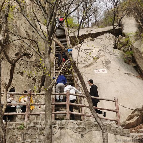 stwang于2023-04-09 17:20发布的图片