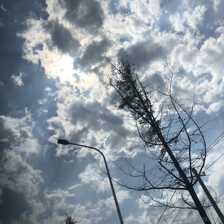 嘉晚饭第一于2022-11-20 12:03发布的图片