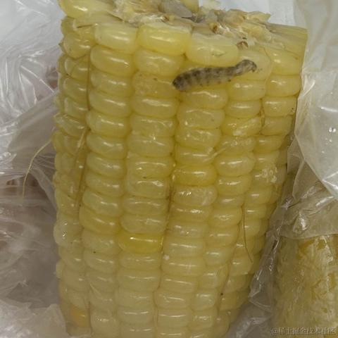 月影梦星河于2023-07-21 10:14发布的图片
