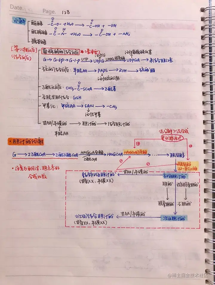 生化手写笔记.pdf