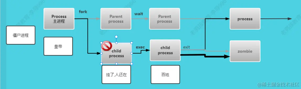 image-20240131230719186