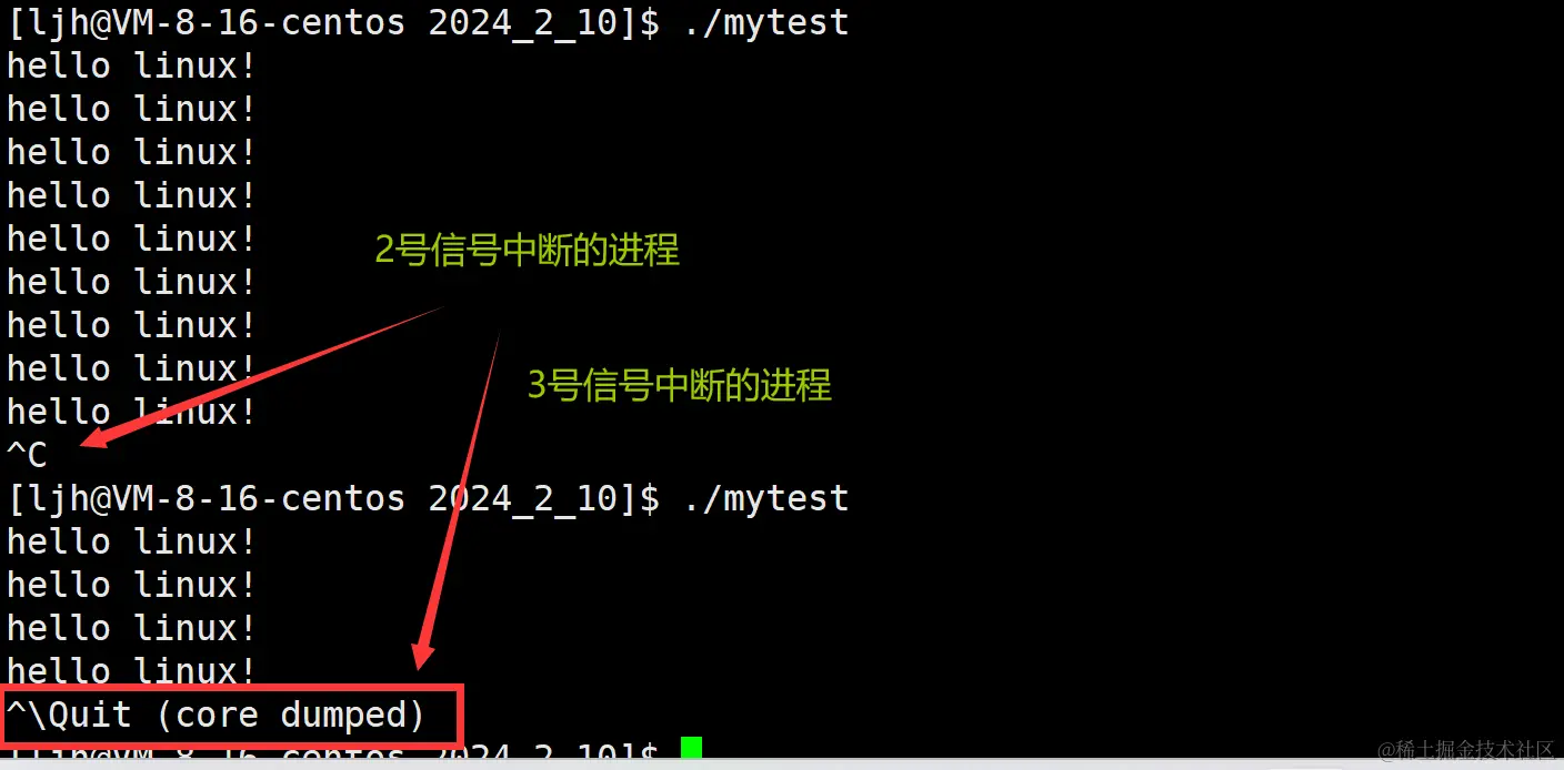 image-20240211002905989